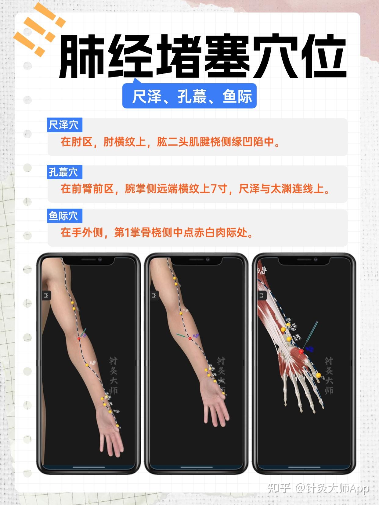经络 | 人体健康钥匙 - 知乎