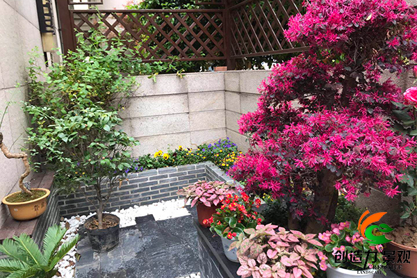 自己在庭院种树 树种选择需要注意什么 知乎