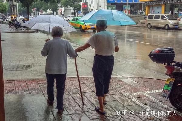 《你是我风雨中的搀扶》 - 知乎