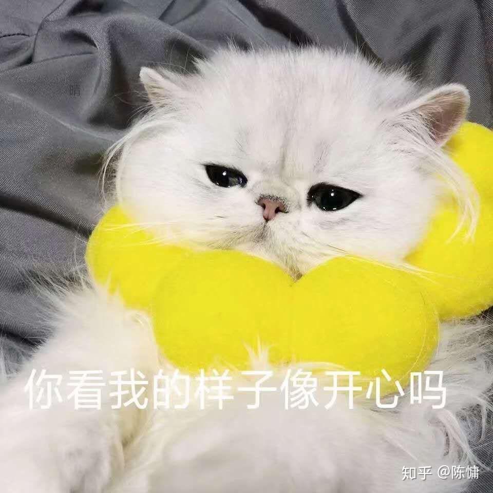 有什么适用于和老公/男票撒娇的可爱表情包? - 知乎