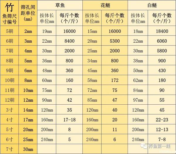短鲷亲鱼分缸_南美短鲷缸造景_短鲷缸