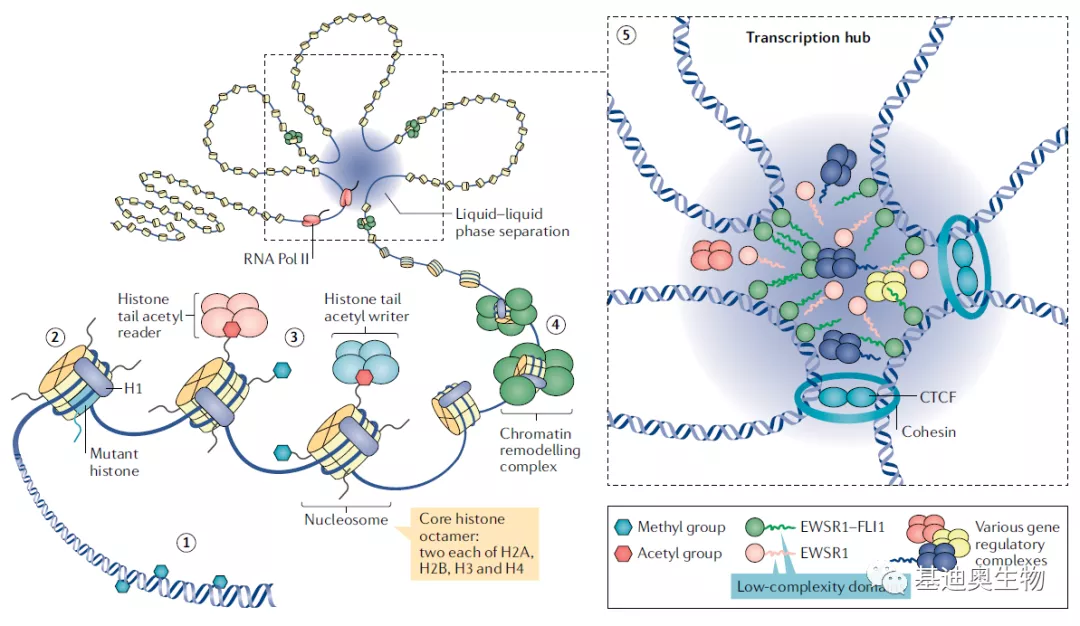 AI科研绘图看到科研大佬们的花式示意图，我的DNA动了！ 知乎