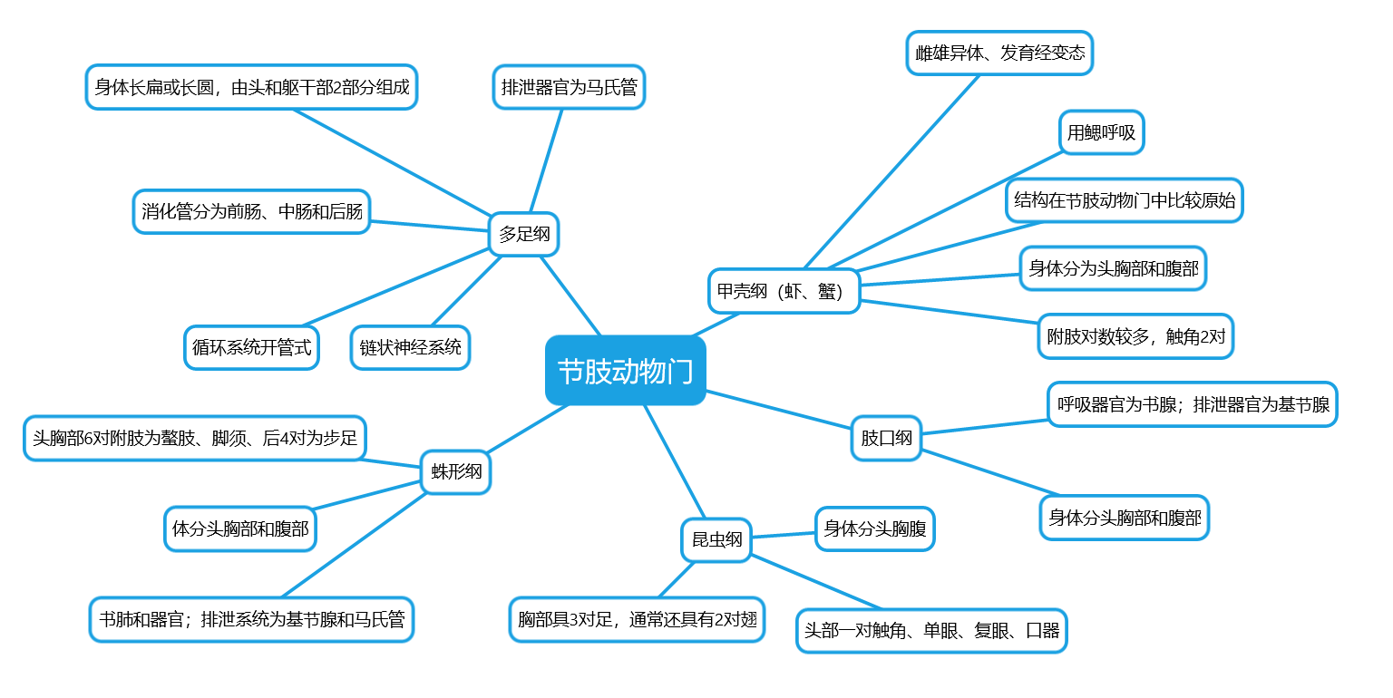 生物动物类群思维导图图片