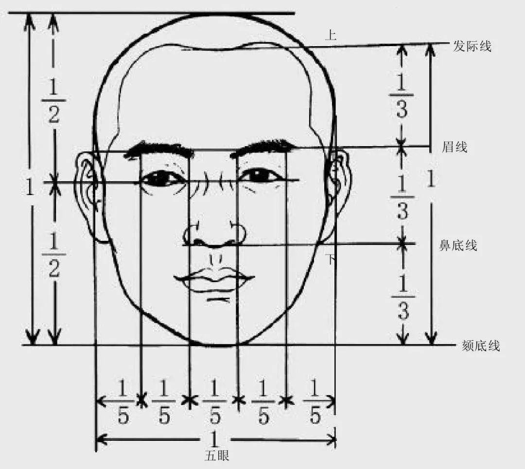 脸型甲目申由图片