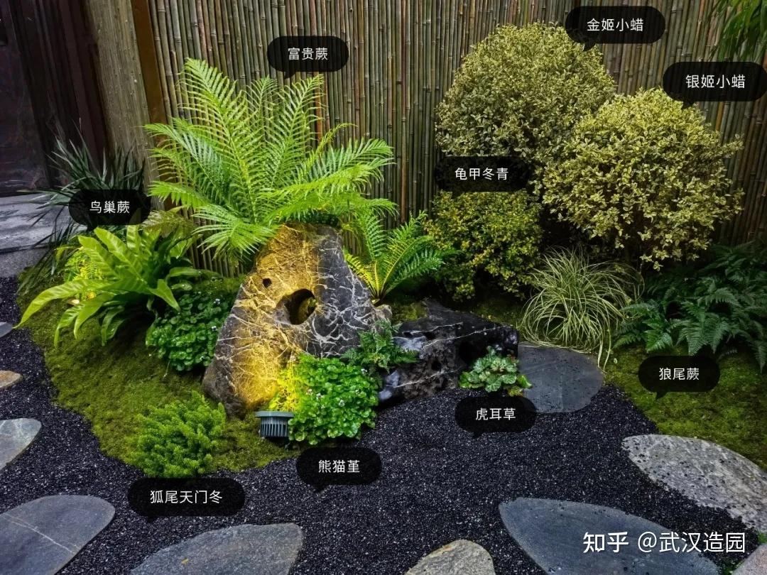 日式小庭院怎么做?植物搭配来了...... - 知乎