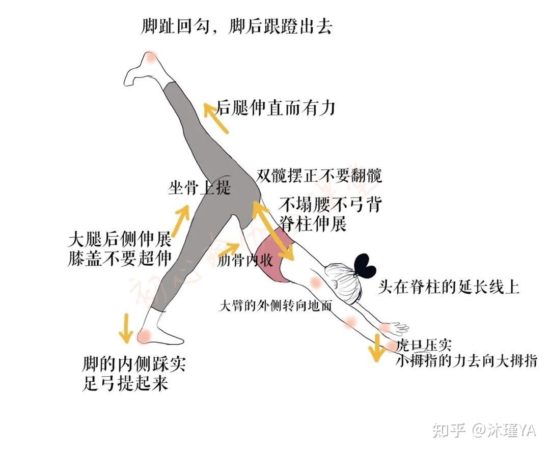 瑜伽干货‖单腿下犬式中遇到的问题及解决方法!初学者必看!