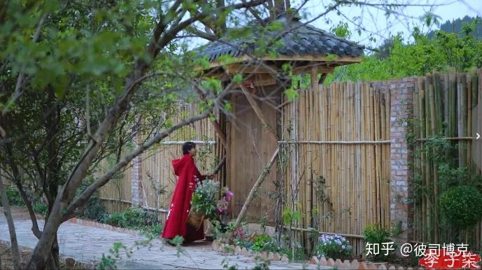 晨雾中若隐若现,一栋房子静静地伫立在花海中,这个地方就是李子柒的家