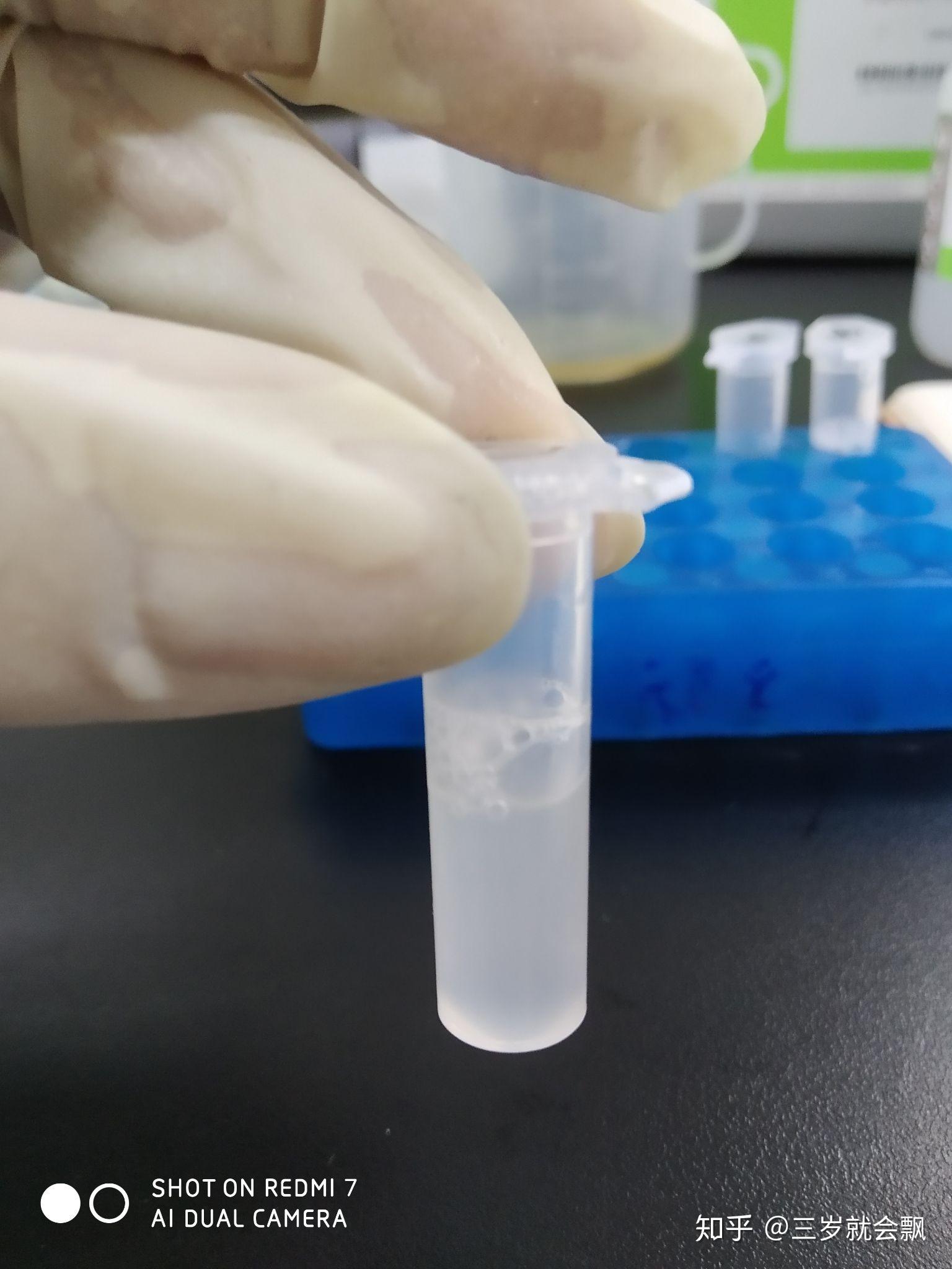 为什么我抽提质粒实验总是失败