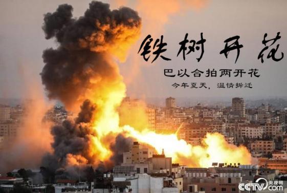 巴以战争背后真相令人暖心