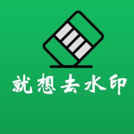 就想去水印