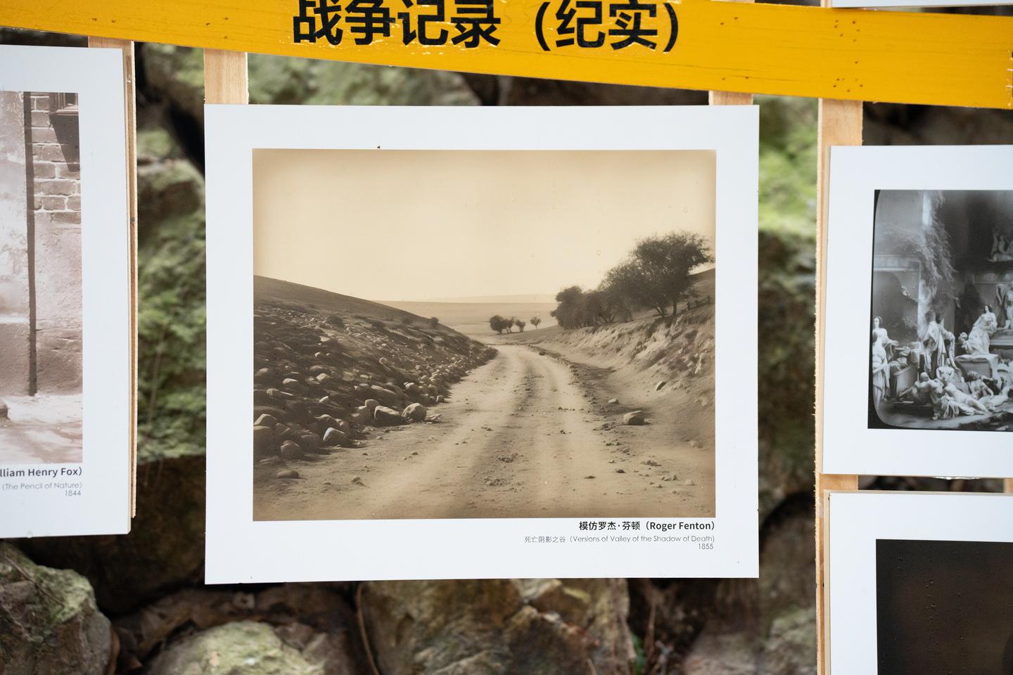 【见微知著】2023丽水摄影节——放射性:13人摄影展(21号馆)——不完全解析 - 知乎