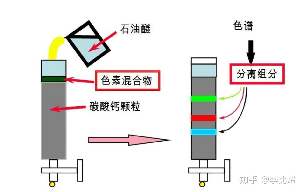 4色谱分离法