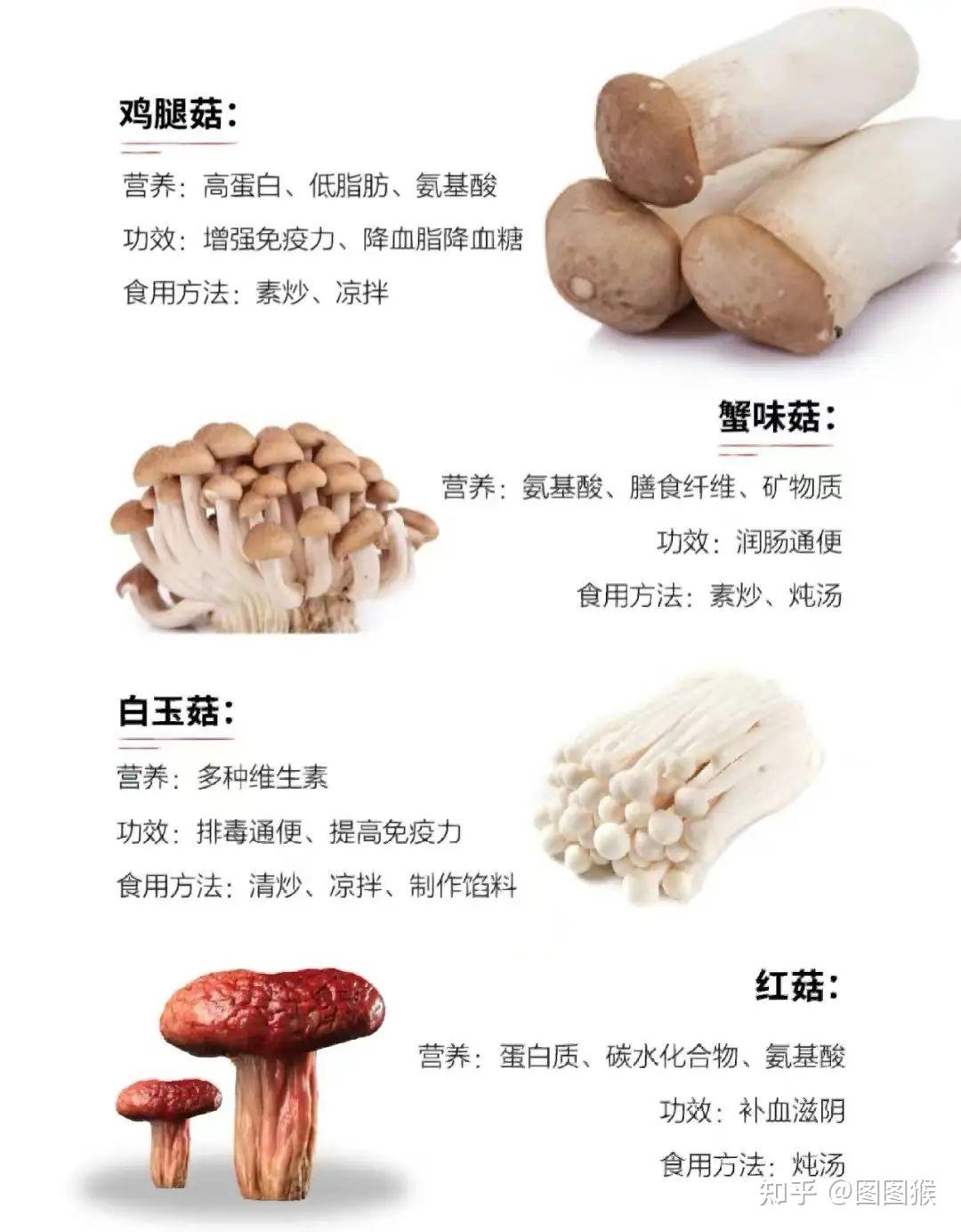 收藏!29种菌菇的区别、营养功效及家常做法~ - 知乎