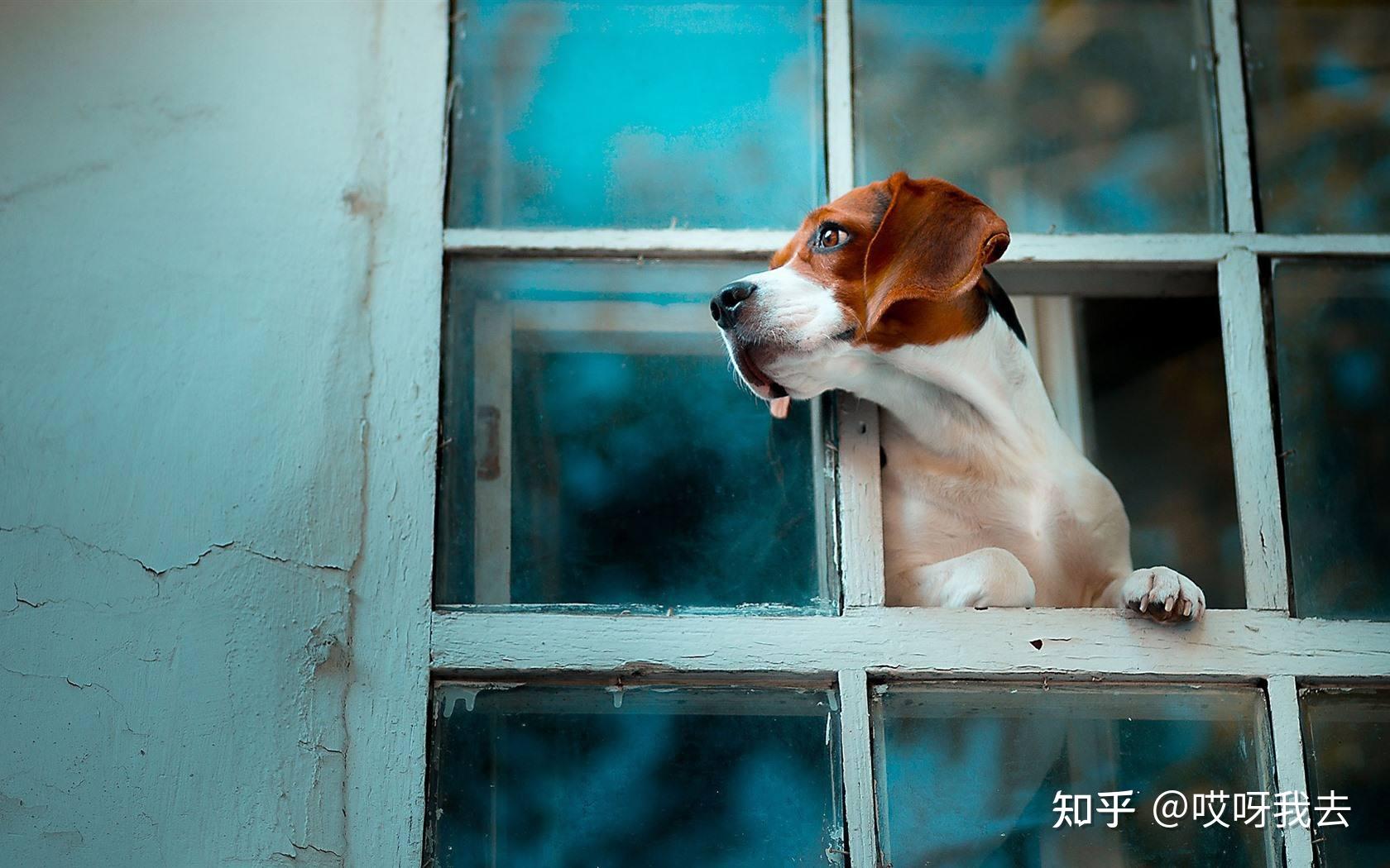 对外面的世界好奇