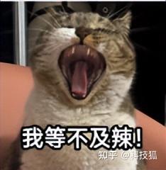 智己门店暴雷?这瓜有点大啊!