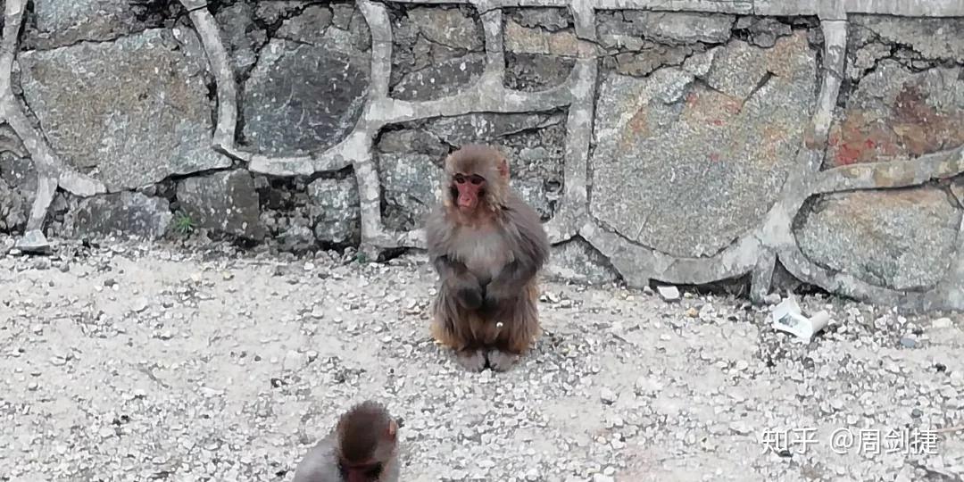 这样也行?(4200公里多少油钱)4200公里开车需要多久,(图73) 这样也行?(4200公里多少油钱)4200公里开车需要多久,(图73)