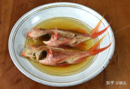 樱花季聊聊名字里带樱的那些鱼们