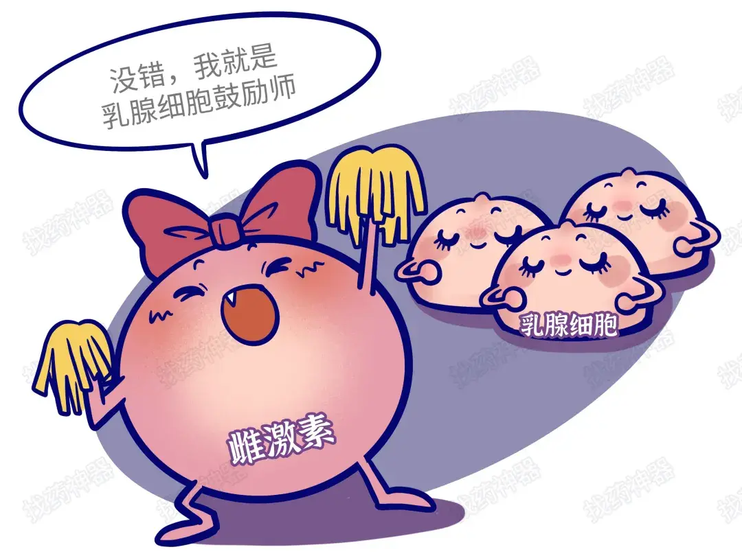 乳腺癌成为超越肺癌的世界第一大癌种,乳腺癌发病几率超80%,男女都要