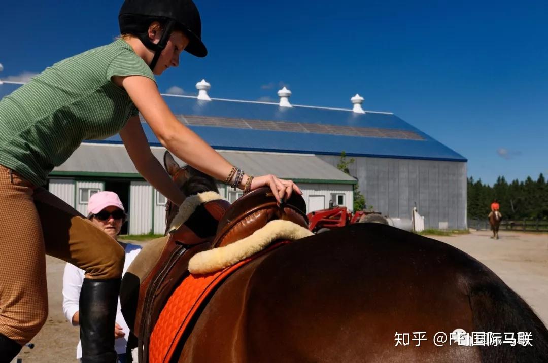 6个小建议助你首次成功上马