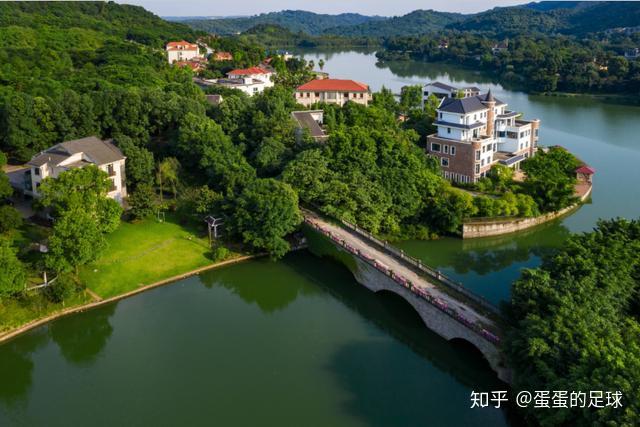 在海兰云天,每一棵树,都值得拥有故事