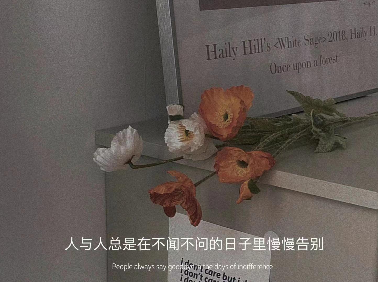 人总是在不闻不问的日子里慢慢告别墨陌文案馆