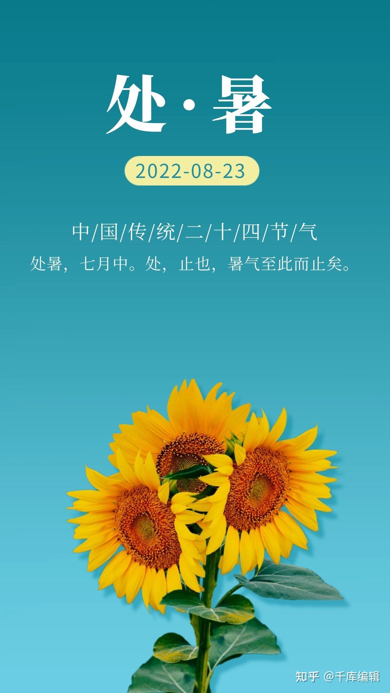 处暑借势海报合集!一起和高温说拜拜! - 知乎