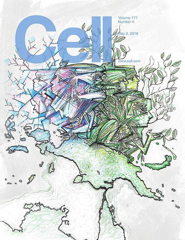 科学与艺术的结合！《CELL》100+张期刊封面鉴赏｜2019年篇 - 知乎