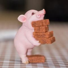 小猪搬砖头像图片
