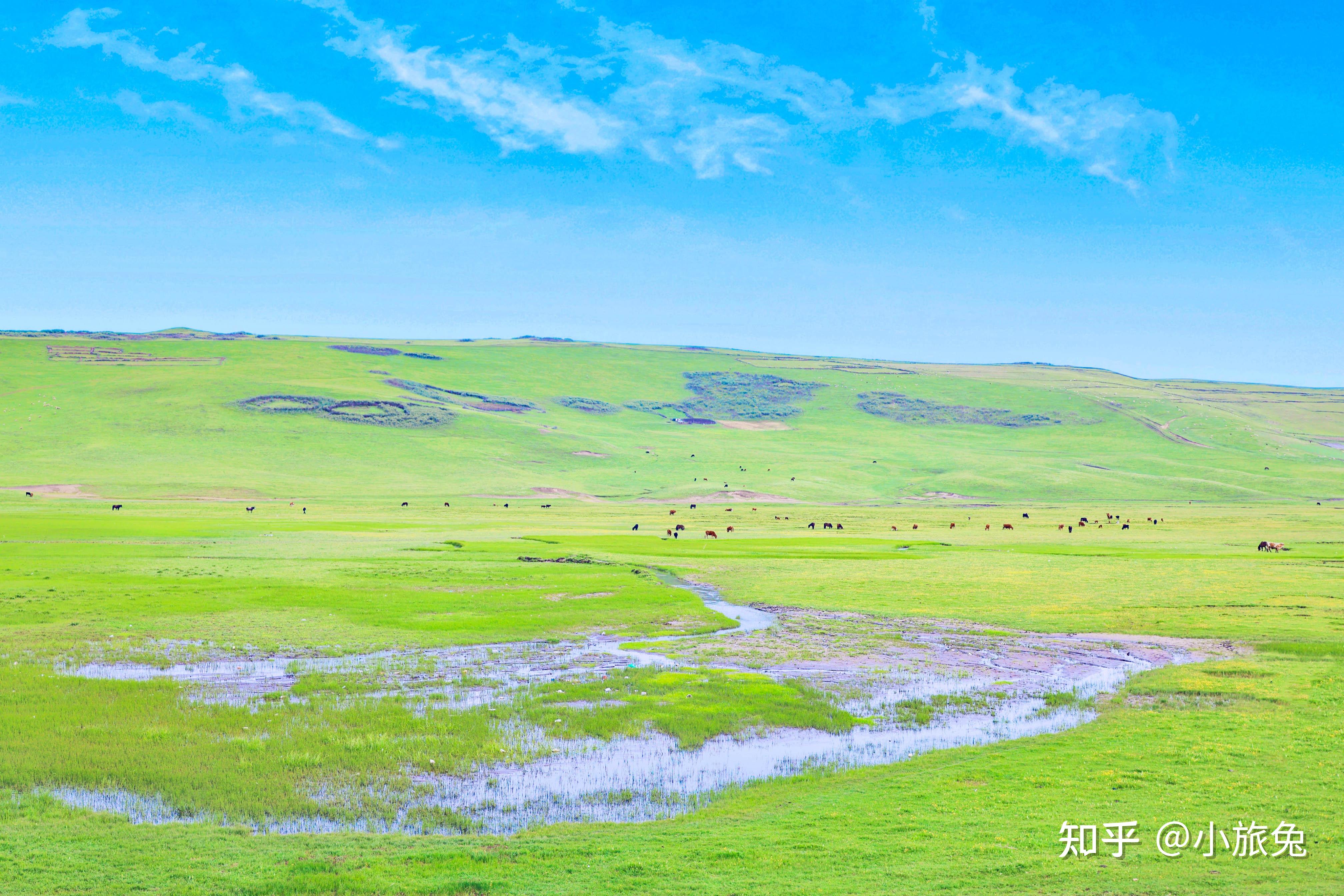 甘肃最美湿地草原面积近百万亩好看又好拍