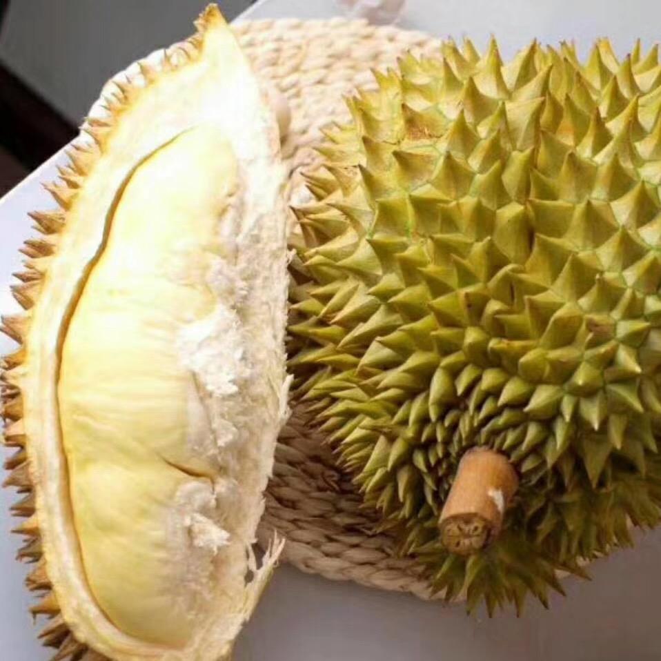 金枕榴莲 - 知乎