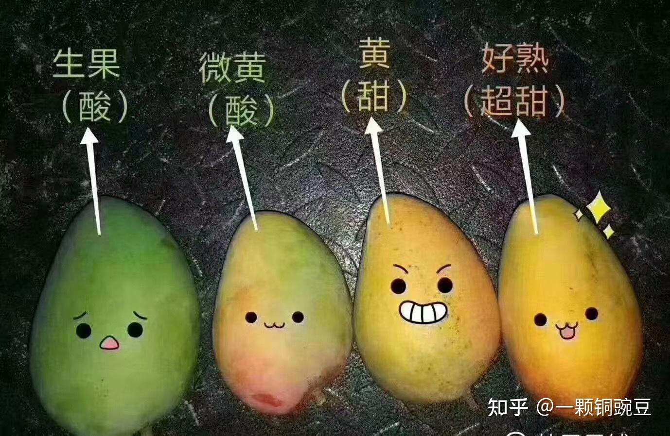 芒果都有哪些种类，哪种口味最好吃？ - 知乎