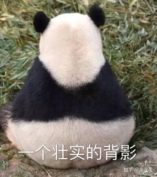 如何看待王传君,金世佳公然评论爱情公寓?