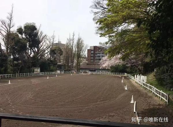 真正的皇家贵族大学其实很亲民 知乎