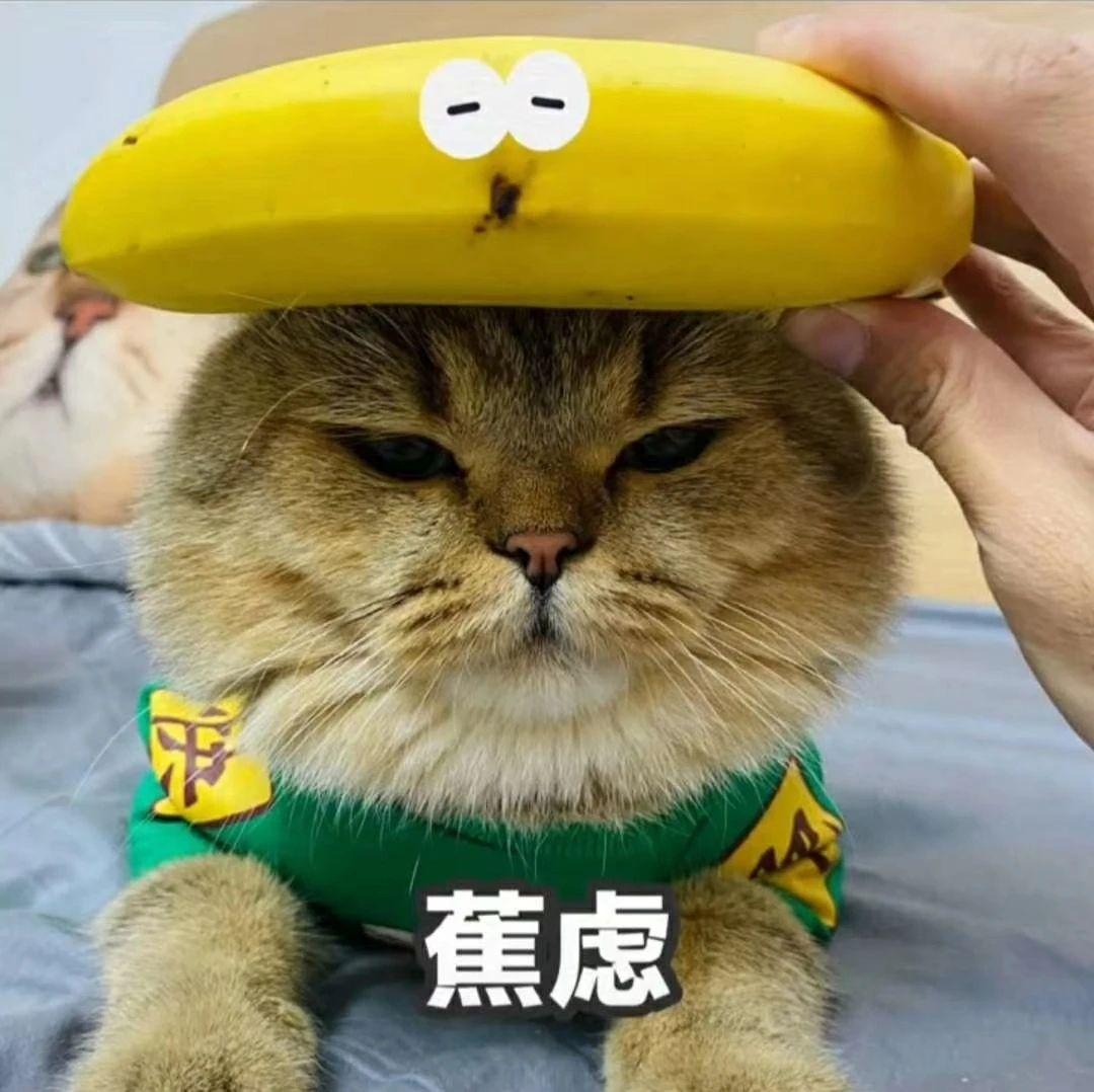 香蕉与猫点赞之蕉可爱表情包 - 知乎