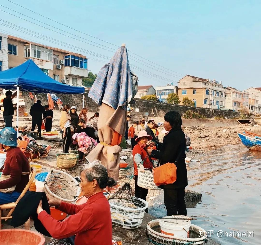 舟山码头的海鲜比宁波贵一半!到底坑没坑?