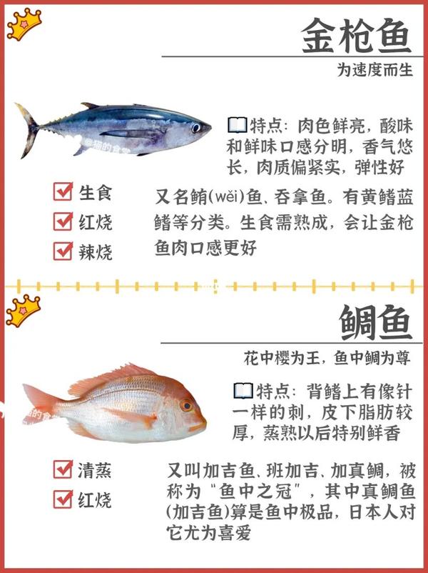 科普:海鱼种类 - 知乎