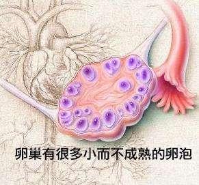 v2-c3e49ae9445270310a6d2c9afadfa2c6_b.jpg