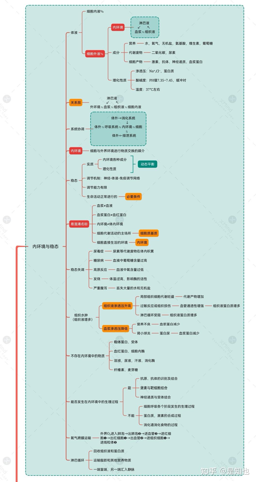 人教新版高中生物选择性必修一思维导图