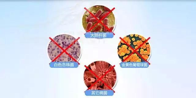 1年不洗的洗衣机比马桶脏530倍洗出来的衣服穿在身上小心螨虫细菌爬满