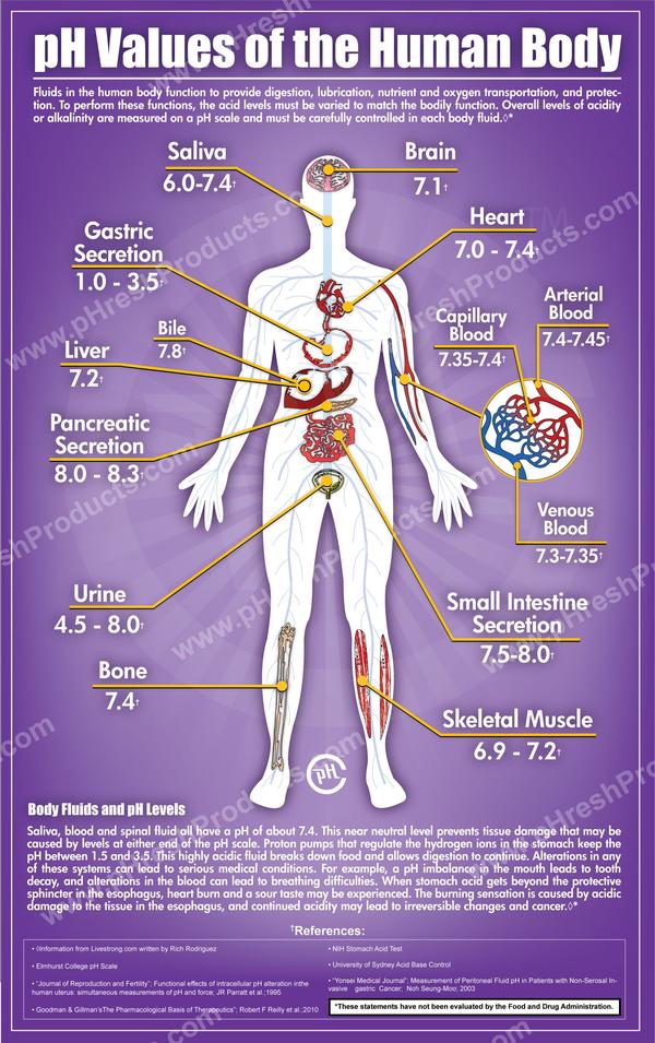 What Is The Importance Of Ph To Biological Systems