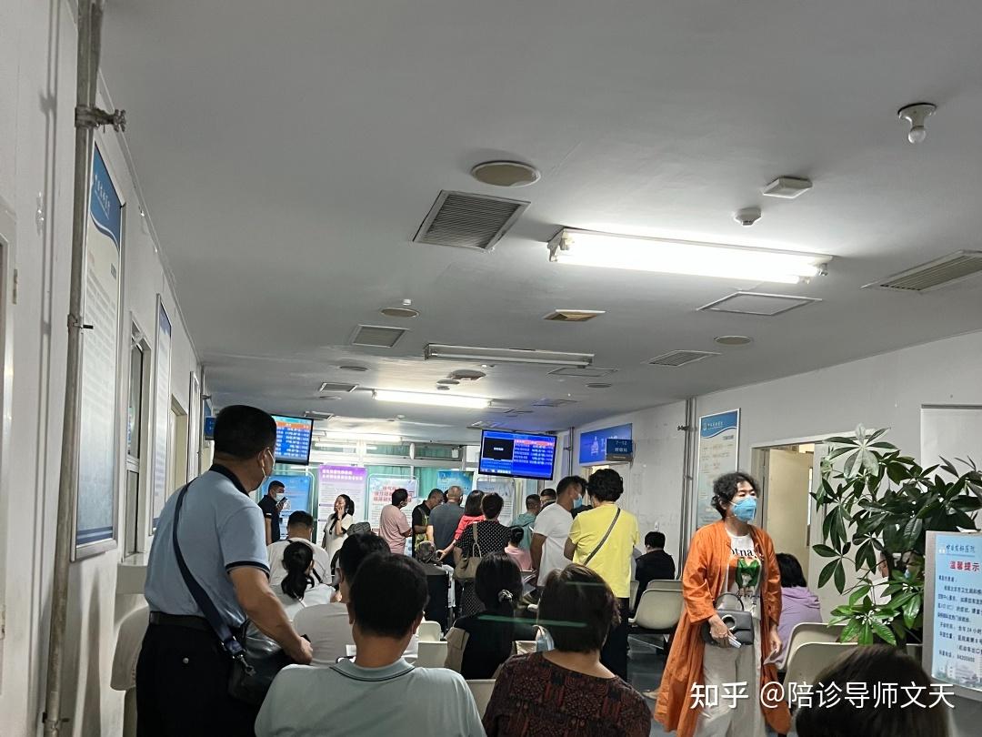 包含中日友好医院陪诊协助挂号异地就医手续代办，报销少跑弯路的词条