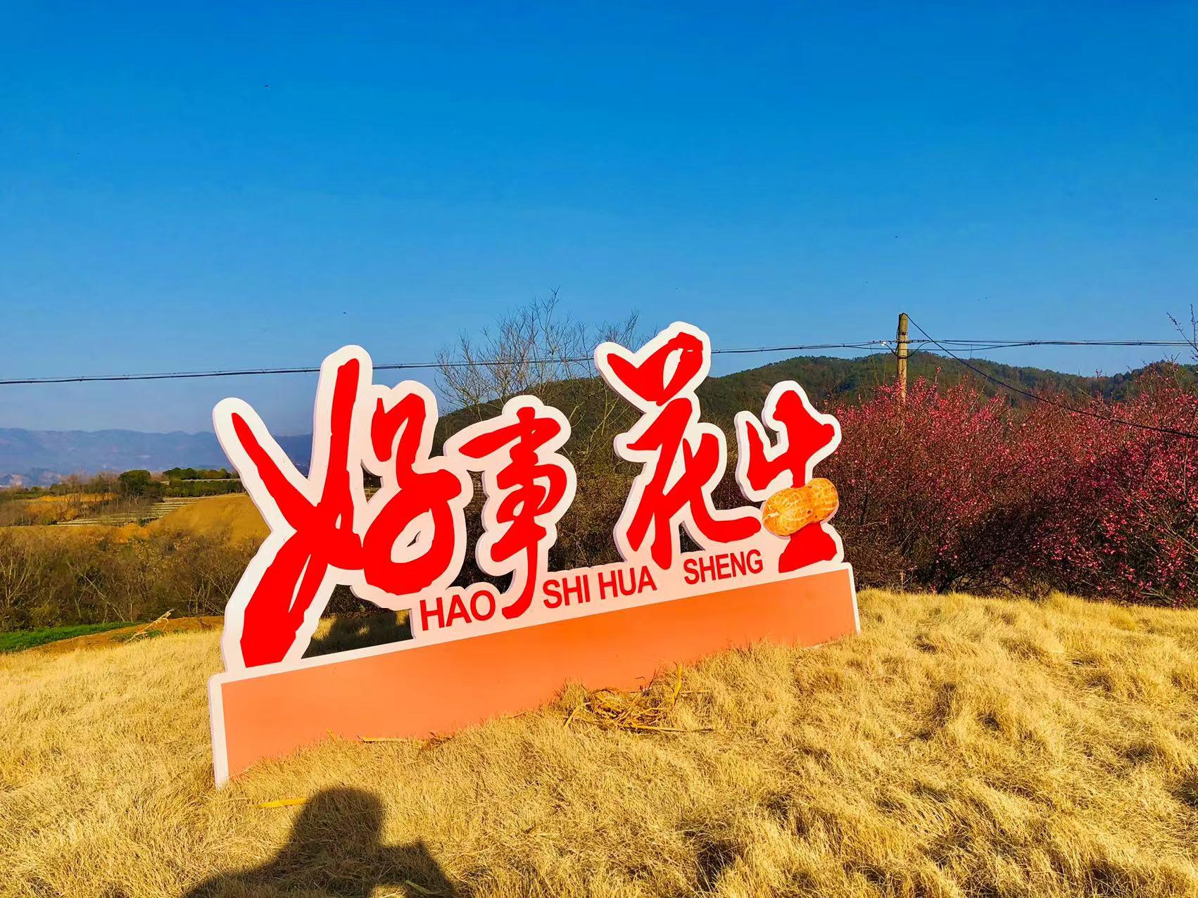 高山流水 的想法: 好事花生 | <a class="hash_tag" href="