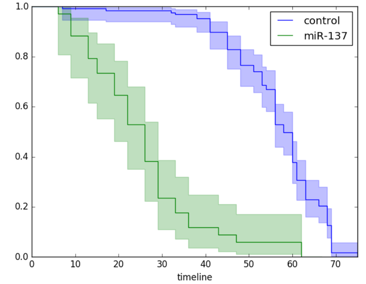  weibull distribution python 