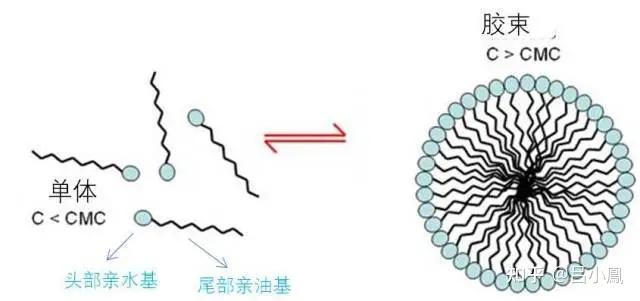 化妆品七种新型载体技术简述 - 知乎
