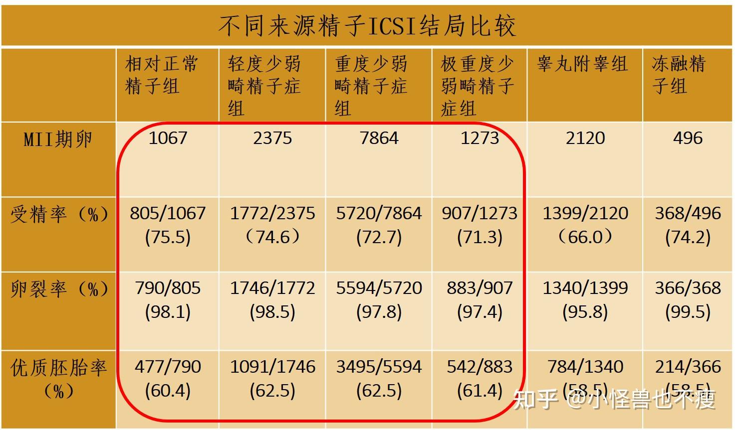 畸形率99试管成功率高吗