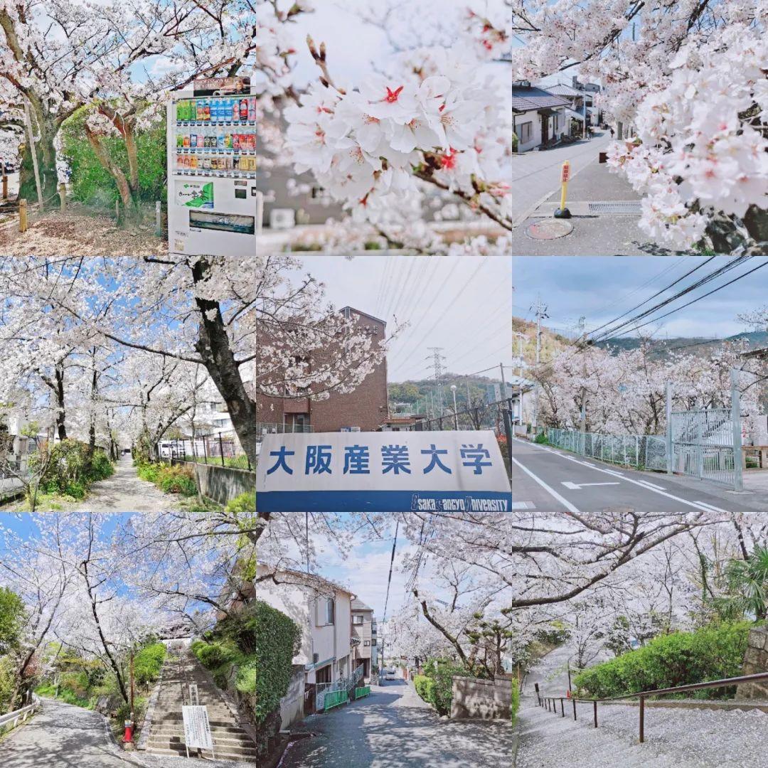 孔子学院孔子学院教师李翔写在年末孤单而不孤独的2020