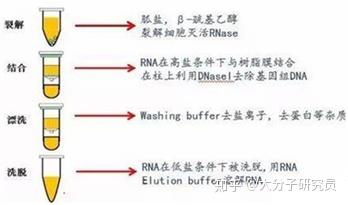 知乎专栏