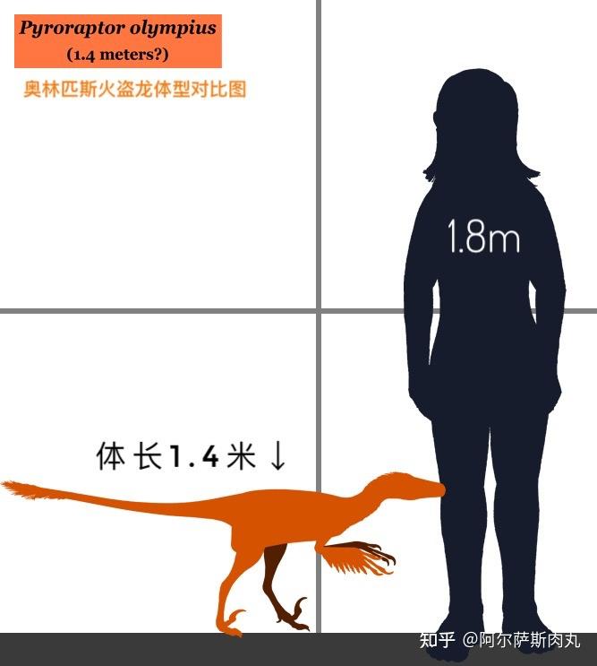 「Legend of Cretaceous丨白垩传 8」龙驰天下（下） - 知乎