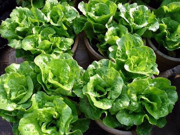 v2-c456049e5e52b23fd2394304cd0628ad_1440w.jpg?source=172ae18b