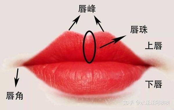 唇部的保养与护理 知乎